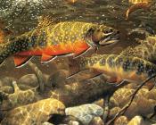 马克 苏祖尼奥 : -Unknown